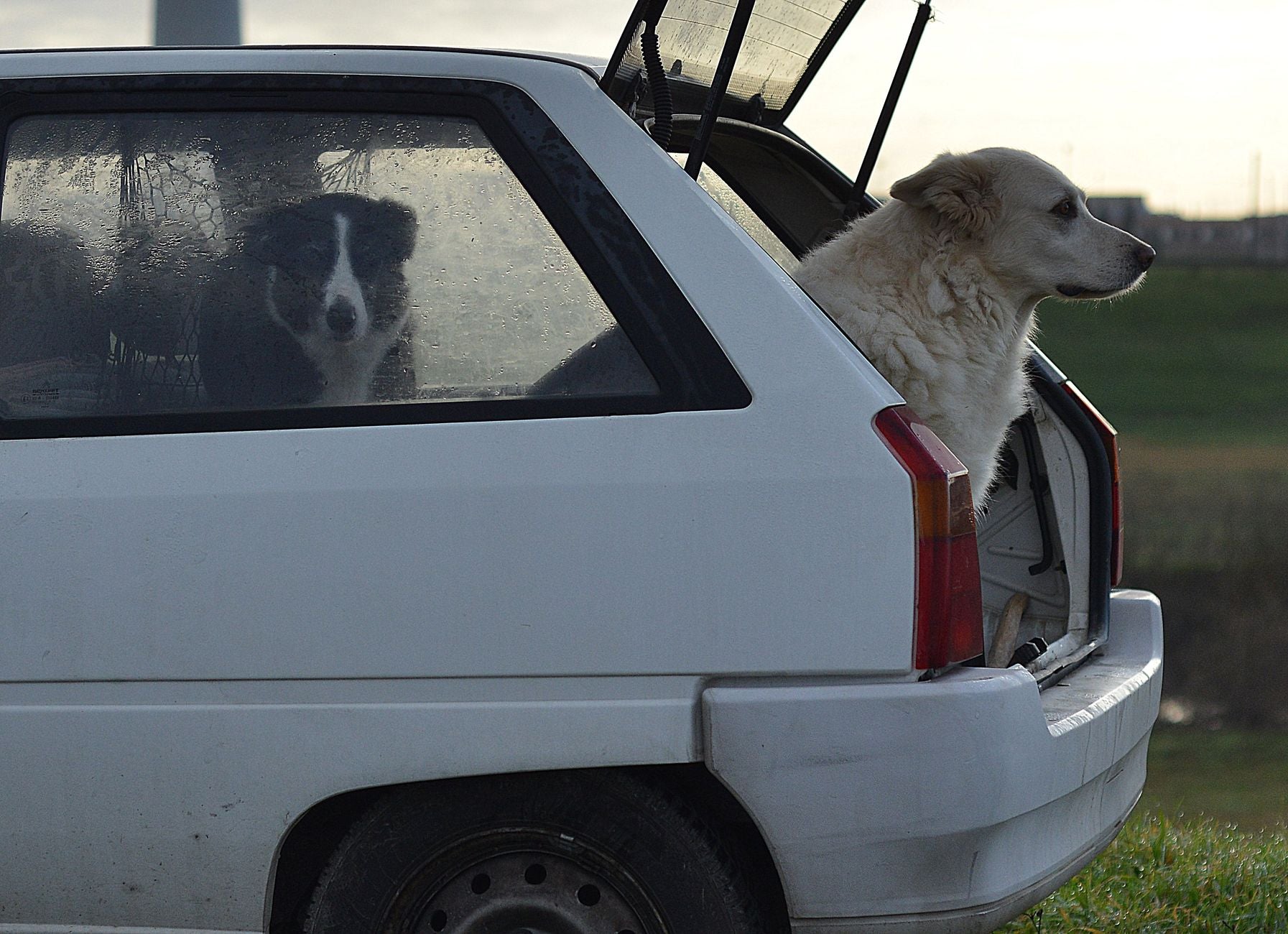 Transport & Reise