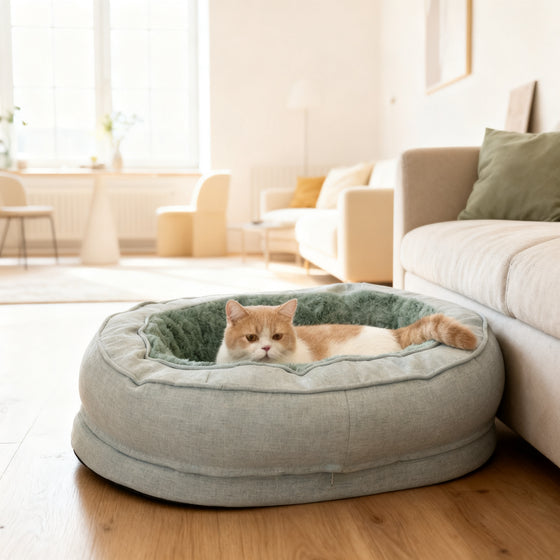 Katze liegt in einem grün-grauen orthopädischen Donut Katzenbett mit erhöhtem Rand