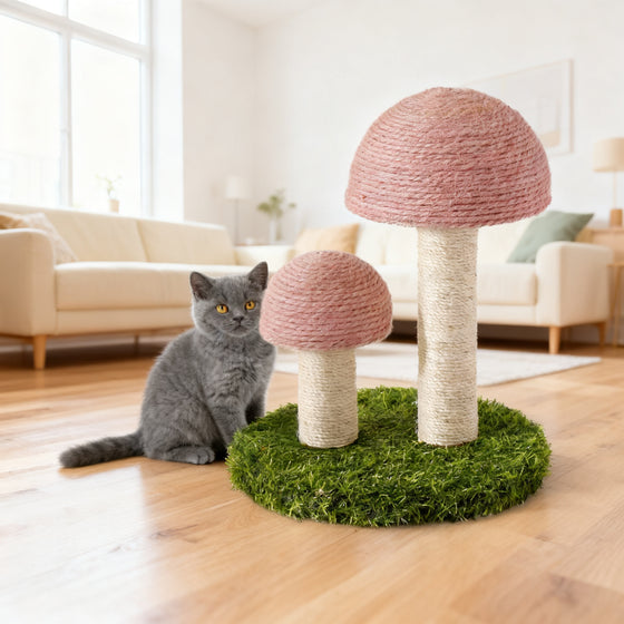 Kratzbaum Pilz aus Sisal für Kitten