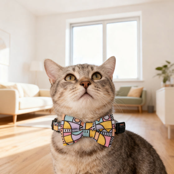 Katzenhalsband mit Fliege oder Krawatte